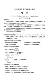 湖北省黄冈市2025-2026学年高三上学期1月期末化学试卷（无答案）