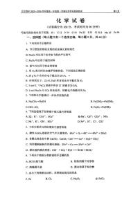 2025-2026学年北京市第四中学高一上学期期末考试化学试题（无答案）