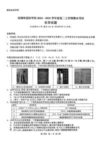 2024-2025学年深圳外国语学校高二(上)期末化学试卷及答案