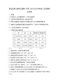 2025-2026学年黑龙江省大庆市大庆第一中学高一上学期期末考试化学试卷（学生版）
