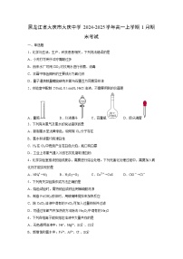 2024-2025学年黑龙江省大庆市大庆中学高一上学期1月期末考试化学试卷（学生版）