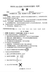 化学-湖南省株洲市2026届高三年级上学期教学质量统一检测（株洲一模）试卷及答案
