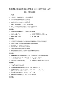 【化学】新疆维吾尔自治区喀什地区莎车县2024-2025学年高一上学期1月期末试题