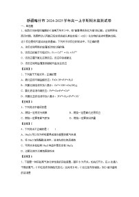【化学】新疆喀什市2024-2025学年高一上学期期末监测试卷