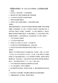 【化学】宁夏银川市银川一中2024-2025学年高一上学期期末试卷（学生版+解析版）