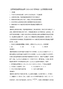 【化学】江苏省盐城市东台市2024-2025学年高一上学期期末考试（学生版+解析版）