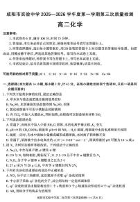 陕西省咸阳市实验中学2025-2026学年高一上学期第三次质量检测化学试卷（无答案）