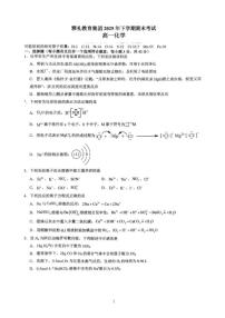 2025-2026学年湖南省雅礼教育集团上学期期末考试高一化学试卷（含答案）