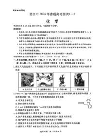 2025—2026学年广东省湛江市度第一学期高三一模化学科试题（含答案）