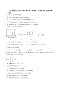 山东省烟台市2025届高三上学期期末学业水平诊断化学试卷（含答案）