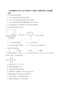 山东省烟台市2025届高三上学期期末学业水平诊断化学试卷（含答案）