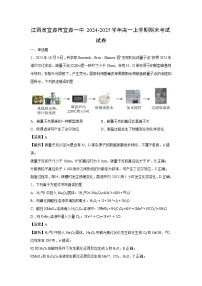 【化学】江西省宜春市宜春一中2024-2025学年高一上学期期末考试试卷（学生版+解析版）