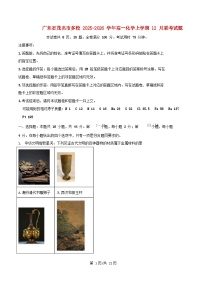 广东省茂名市多校2025_2026学年高一化学上学期12月联考试题含解析