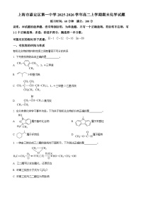 上海市嘉定区第一中学2025-2026学年高二上学期期末化学试题（原卷版+解析版）
