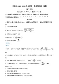 北京市东城区2023-2024学年高三上学期期末化学试卷 含解析