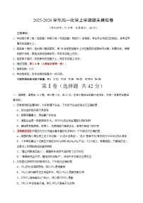 2025-2026学年高一上学期期末模拟人教版化学试卷