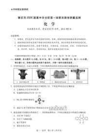 2026届高三上学期肇庆二模化学试题+答案