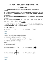 浙江省温州市2023-2024学年高二上学期期末化学试题  含解析
