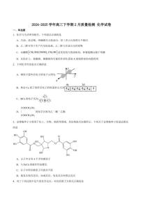 2025届河南省驻马店市高三下学期2月质量检测化学试卷（含答案）