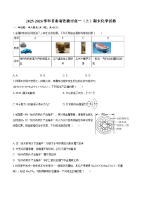 2025-2026学年甘肃省张掖市高一（上）期末化学试卷-自定义类型