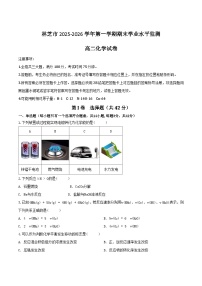 西藏林芝市2025-2026学年高二上学期期末学业水平监测化学试卷（Word版附答案）