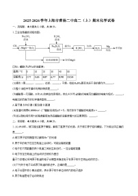 2025-2026学年上海市曹杨二中高二（上）期末化学试卷（含答案+解析）