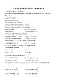 2025-2026学年重庆市高一（上）期末化学试卷-自定义类型