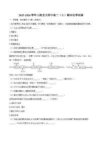 2025-2026学年上海交大附中高二(上)期末化学试卷-自定义类型