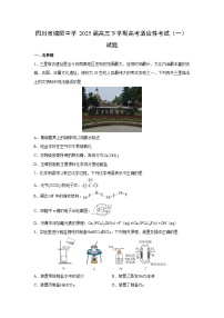 四川省绵阳中学2025届高三下学期高考适应性考试（一）化学试卷（学生版）