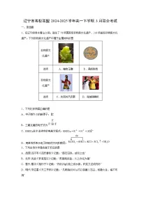 2024-2025学年辽宁省名校联盟高一下学期3月联合考试化学试卷（学生版）