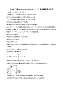 山东省日照市2025-2026学年高三（上）期末模拟化学试卷