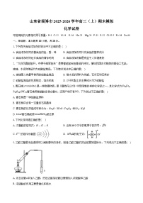 山东省淄博市2025-2026学年高三（上）期末模拟化学试卷