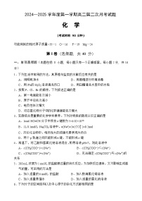 海南省文昌中学2024-2025学年高二上学期第二次月考化学试题（含答案）