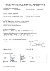 2025~2026学年广东深圳罗湖区深圳中学高二上学期A卷期中化学试卷（有答案解析）