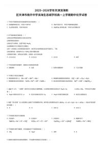 2025~2026学年天津滨海新区天津市南开中学滨海生态城学校高一上学期期中化学试卷（有答案解析）