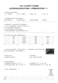 2025~2026学年广东深圳南山区深圳市南山区育才中学高一上学期段考化学试卷（一）（有答案解析）