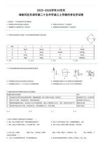 2025~2026学年10月天津南开区天津市第二十五中学高三上学期月考化学试卷（有答案解析）