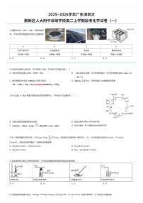 2025~2026学年广东深圳大鹏新区人大附中深圳学校高二上学期段考化学试卷（一）（有答案解析）