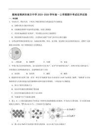 2025-2026学年湖南省株洲市南方中学高一上学期期中考试化学试卷（含答案）