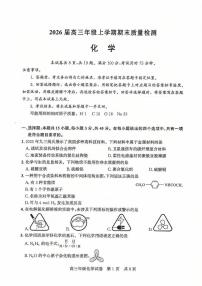 湖北省武汉市武昌区2026届高三上学期1月期末考试化学试题（PDF版附答案）
