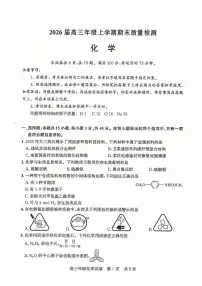 湖北省武汉市武昌区2026届高三上学期1月期末考试化学试题（PDF版附答案）