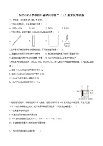 2025-2026学年四川省泸州市高二（上）期末化学试卷-自定义类型