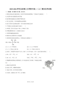 2025-2026学年北京理工大学附中高二（上）期末化学（含答案）试卷