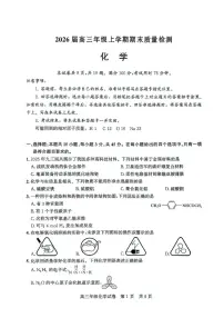 2026届湖北武汉武昌区高三上学期元月调考化学试卷（含答案）