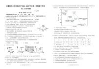 安徽省芜湖市师范大学附属中学2024-2025学年高二上学期期中化学试题（含答案）