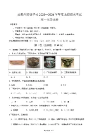 四川省成都外国语学校2025-2026学年高一上学期期末考试化学试卷（Word版附答案）