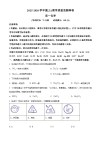 四川省攀枝花市2025-2026学年度（上）教学质量监测样卷高一化学试卷（原卷+解析）