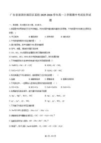 广东省深圳市福田区某校2025-2026学年高一上学期期中考试化学试题（含答案）