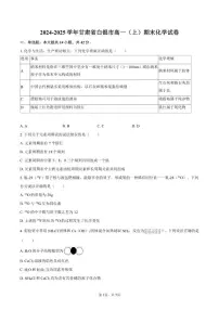 甘肃省白银市2024-2025学年高一（上）期末化学试卷（含答案）