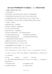 青海省西宁市大通县2024-2025学年高二（上）期末化学试卷（含答案）